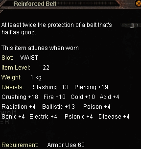 reinforced_belt